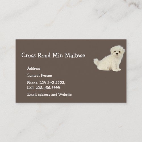 Maltese Dog Pet Animal Logo Business Card Magnet