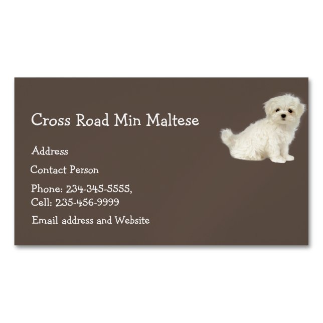 Maltese Dog Pet Animal Logo Business Card Magnet (Front)