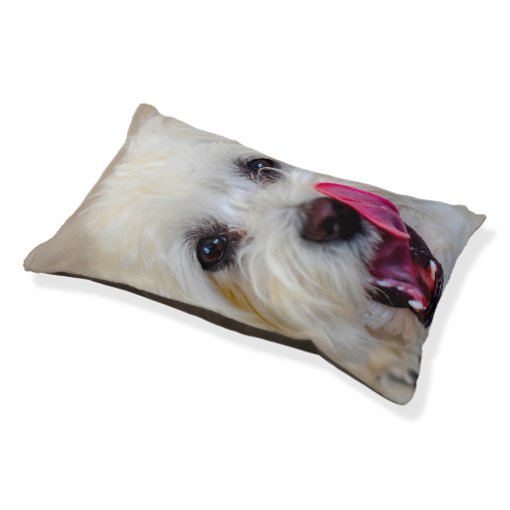 Maltese Dog. Pet Bed Zazzle