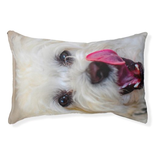 Maltese Dog. Pet Bed Zazzle