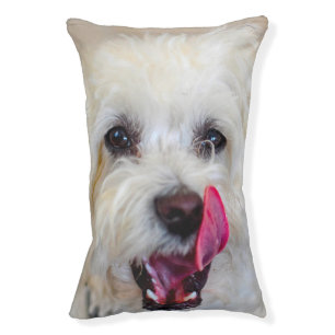 Maltese Dog. Pet Bed