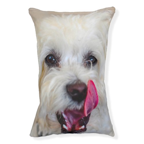 Maltese Dog Pet Bed