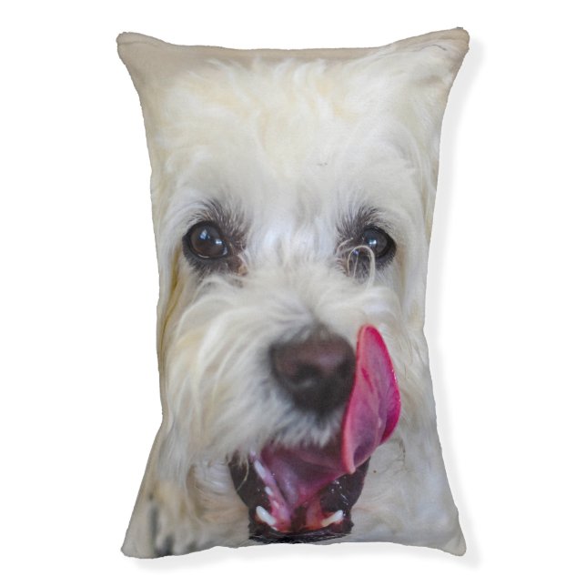 Maltese Dog. Pet Bed (Front Vertical)