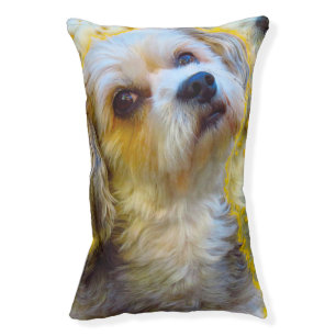 Maltese Dog. Pet Bed