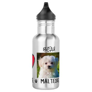 Maltese Dog Pet Lovers Stainless Steel Water Bottle