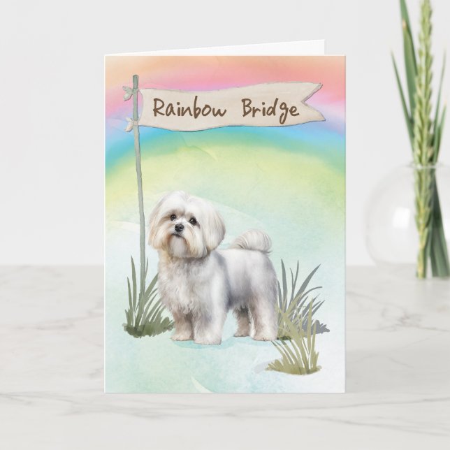Maltese Dog Pet Sympathy Over Rainbow Bridge Card (Front)
