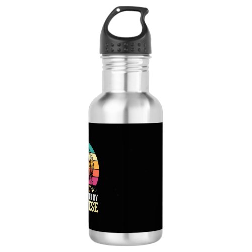 Maltese Dog Retro Sunset Distracted Stainless Steel Water Bottle