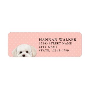 Maltese Dog Return Address Label