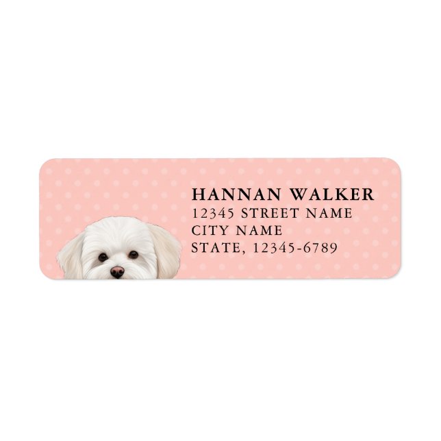 Maltese Dog Return Address Label (Front)