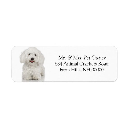 Maltese Dog  Return Address Mail Labels Stickers