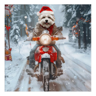 Maltese Dog Riding Motorcycle Christmas Acrylic Print