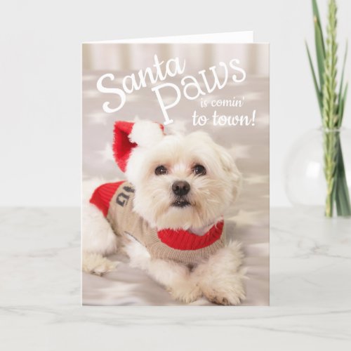 Maltese dog Santa Christmas Card