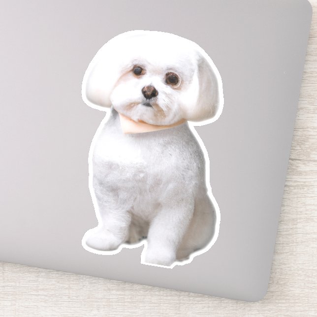 Maltese Dog Sticker (Detail)