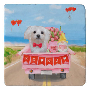 Maltese Dog Valentine's Day Truck Trivet