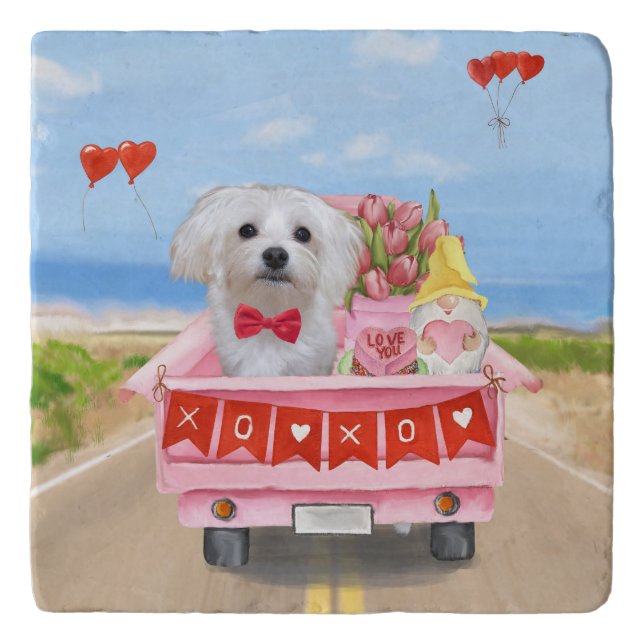 Maltese Dog Valentine's Day Truck Trivet (Front)