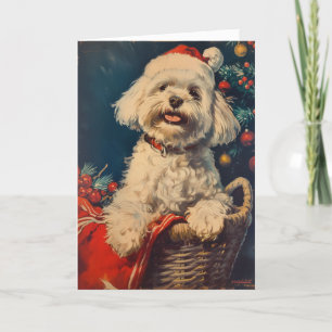 Maltese dog vintage personalized Christmas Holiday Card