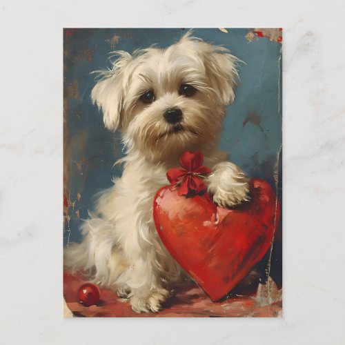 Maltese dog Vintage Valentines day  Postcard