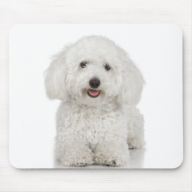 Maltese Dog White Mouse Pad (Front)