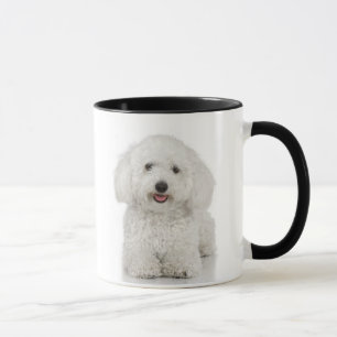 Maltese Dog White Mug