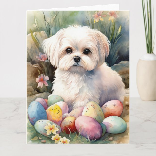 Maltese Dog with Easter Eggs Holiday  Card (Front)