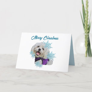 Maltese Dog with Purple Harness in the Snowflakes Holiday Card