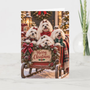 Maltese Dogs Christmas Card