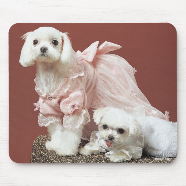 Maltese Dogs Mouse Pad (Front)
