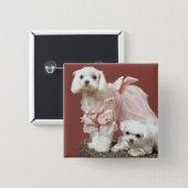 Maltese Dogs Pinback Button (Front & Back)