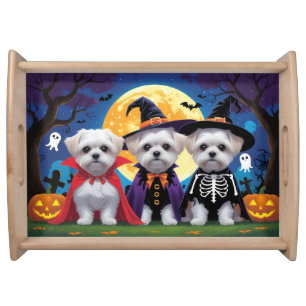 Maltese Dogs Pumpkin Halloween Funny Serving Tray