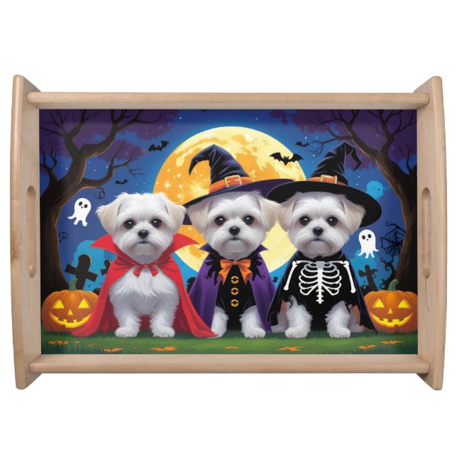 Maltese Dogs Pumpkin Halloween Funny Serving Tray (Front)