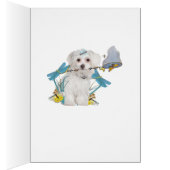 Maltese Dragonfly & Butterfly cards (Inside (Right))