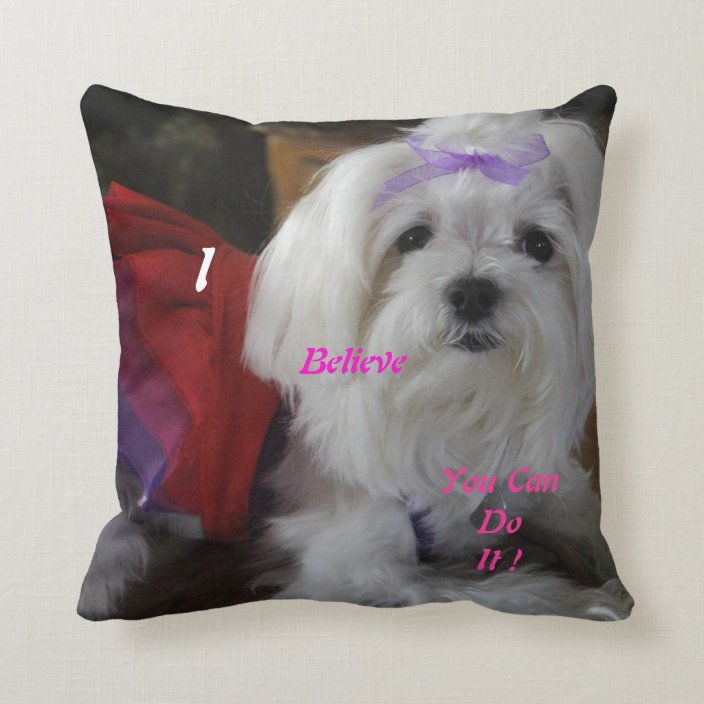 maltese pillow