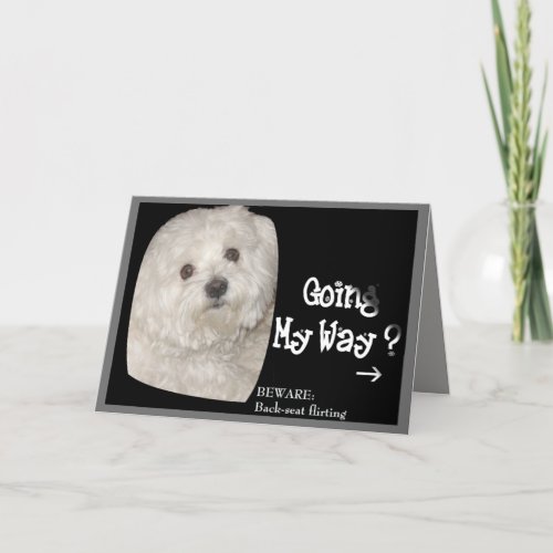 Maltese GET WELL SOON Card for Kids