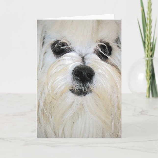 Maltese Greeting Card (Front)