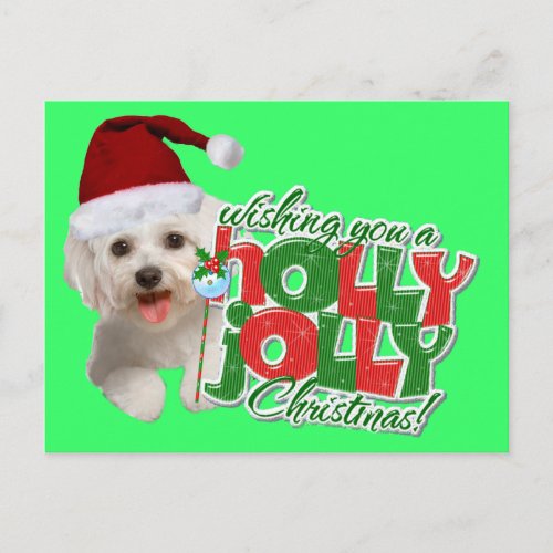 Maltese Have Holly Jolly Christmas Holiday Postcard