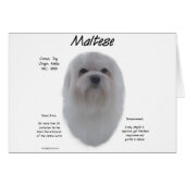 Maltese History Design (Front Horizontal)