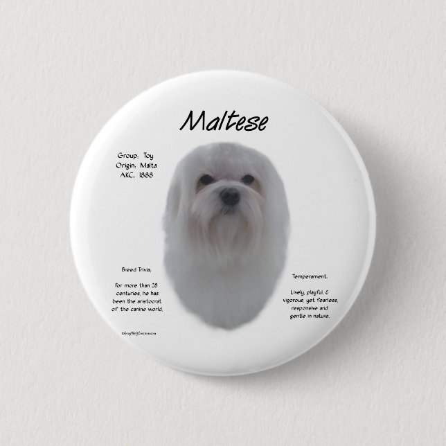 Maltese History Design Pinback Button (Front)