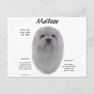 Maltese History Design Postcard
