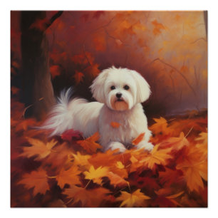 Maltese in Autumn Leaves Fall Inspire  Poster