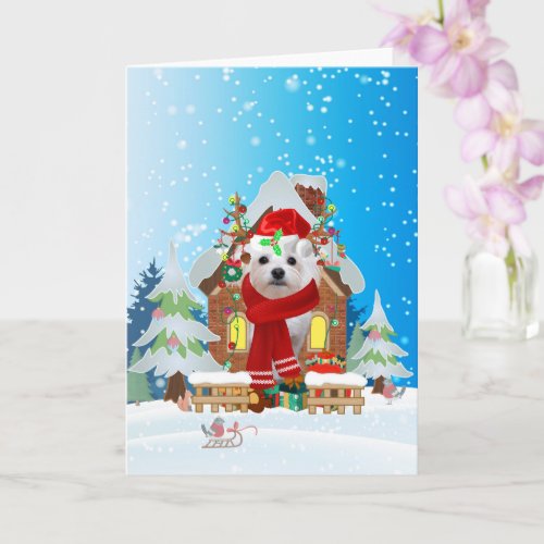 Maltese in snow with Christmas gifts  Card