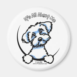 Maltese Its All About Me Magnet