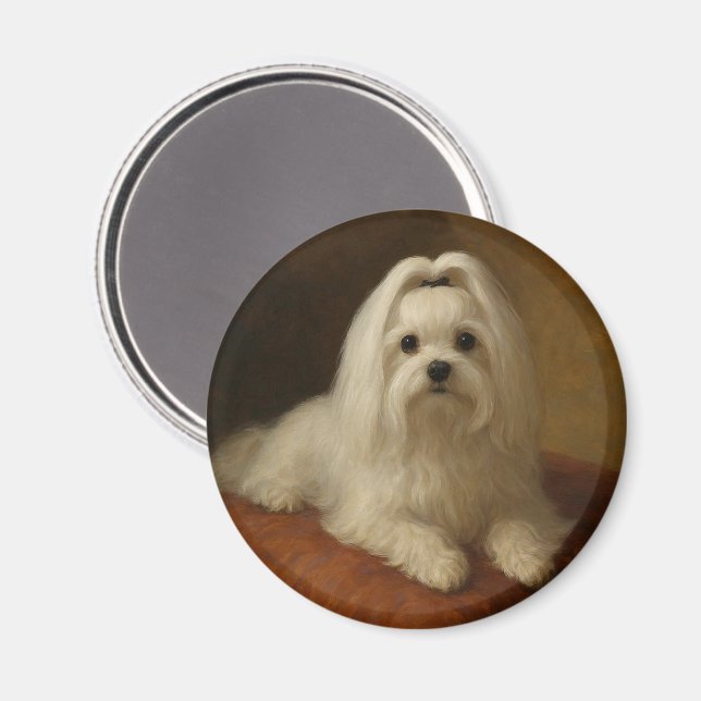 Maltese Magnet (Front/Back)