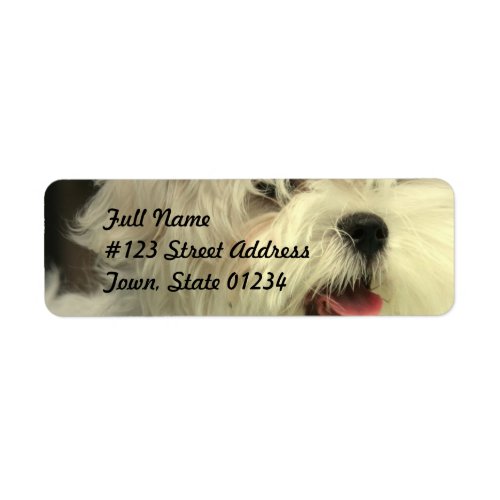 Maltese Mailing Label