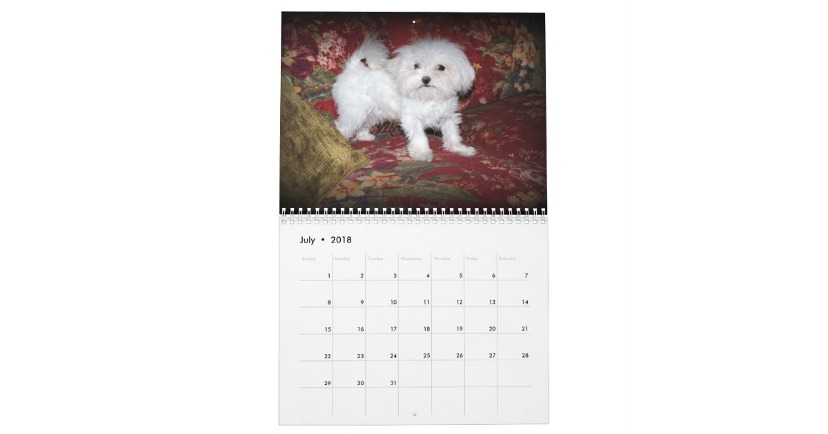 Maltese & Maltipoo Puppy Calendar