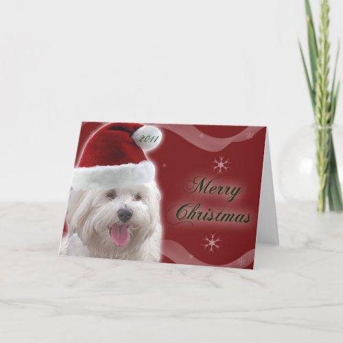 Maltese Merry Christmas Card