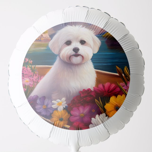 Maltese on a Paddle: A Scenic Adventure Balloon (Front)