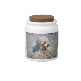 maltese on beach candy jar