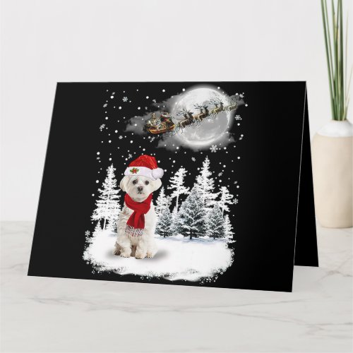 Maltese On Snow Christmas Moon Lighting Santa Hat1 Card