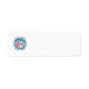 Maltese on Turquoise Label