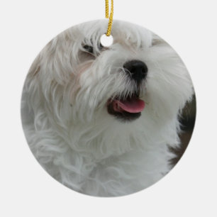 Maltese Ornament